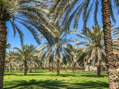 Other Commercial for Sale in Al Dhahrah, Al Ain - Farm for Sale | Al 600 × 600 Sq. Ft | Locals only