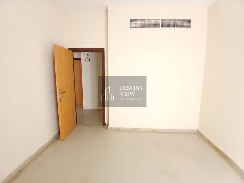 3 117353. jpg