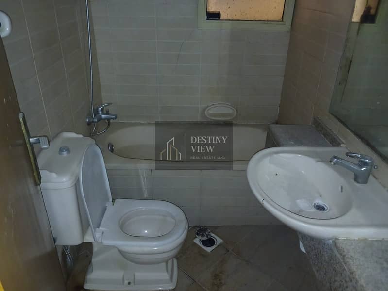 13 117348. jpg