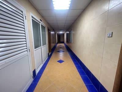 1 Bedroom Apartment for Rent in Muwaileh Commercial, Sharjah - IMG_6825. jpeg