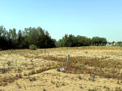 Mixed Use Land for Rent in Al Zubair, Sharjah - bayut_ready_02. jpg Mixed Use Land for Rent in Al Zubair, Sharjah - bayut_ready_02. jpg