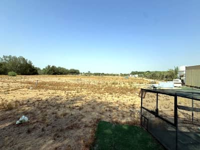 Mixed Use Land for Rent in Al Zubair, Sharjah - WhatsApp Image 2026-06-26 at 9.24. 05 PM (5). jpeg Mixed Use Land for Rent in Al Zubair, Sharjah - WhatsApp Image 2026-06-26 at 9.24. 05 PM (5). jpeg