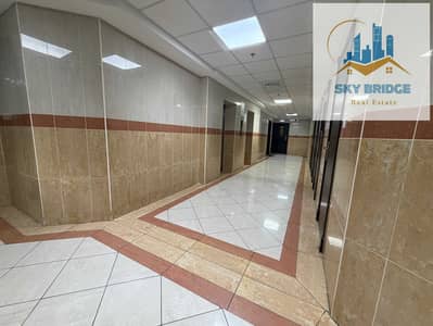 3 Bedroom Apartment for Rent in Rolla Area, Sharjah - IMG_0583. jpg 3 Bedroom Apartment for Rent in Rolla Area, Sharjah - IMG_0583. jpg
