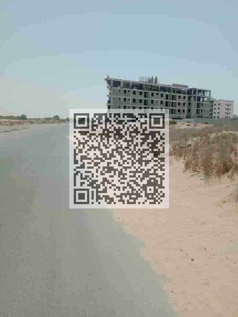 5 1000239000. jpg