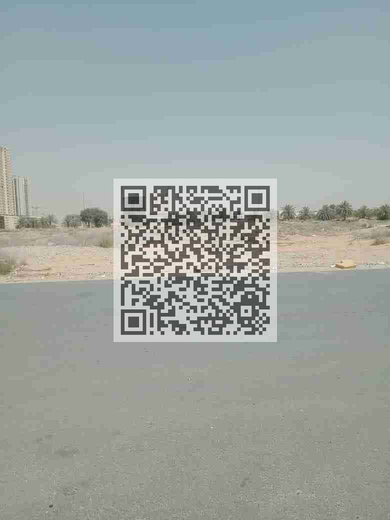 7 1000239006. jpg
