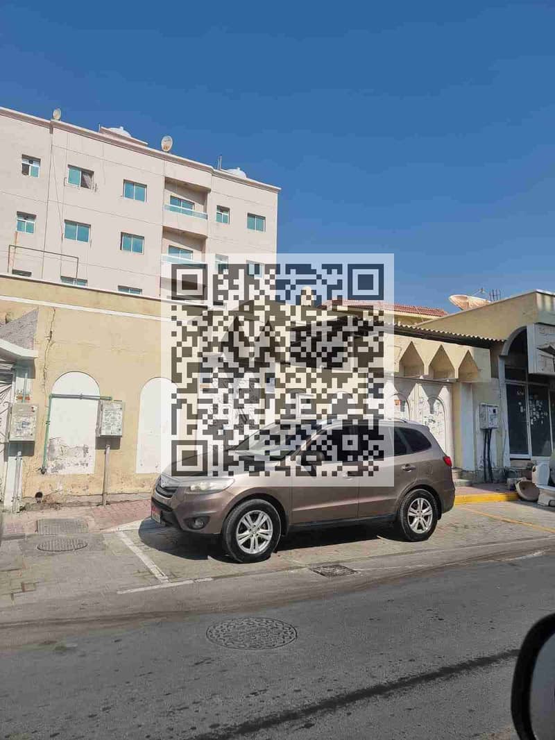 3 1000252508. jpg