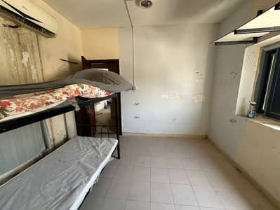 1 Schlafzimmer Wohnung zum zur Miete in Muwaileh, Sharjah - 1000096695. jpg