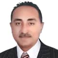 Ibrahim Elsayed Mohamed Hanafy Ibrahim Elsayed Mohamed Hanafy