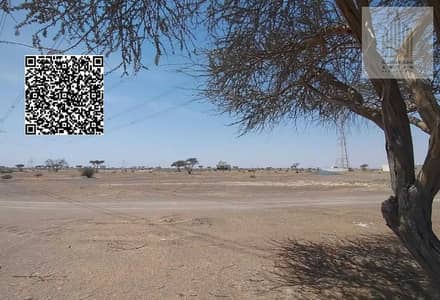 Plot for Sale in Al Manama, Ajman - Residential land in Manama 9, third plot Plot for Sale in Al Manama, Ajman - Residential land in Manama 9, third plot