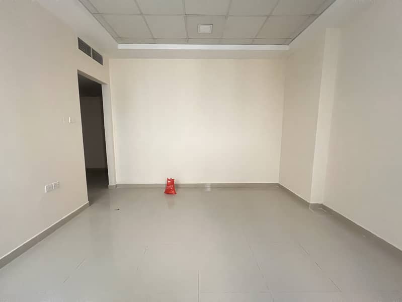 5 IMG_6804. jpeg