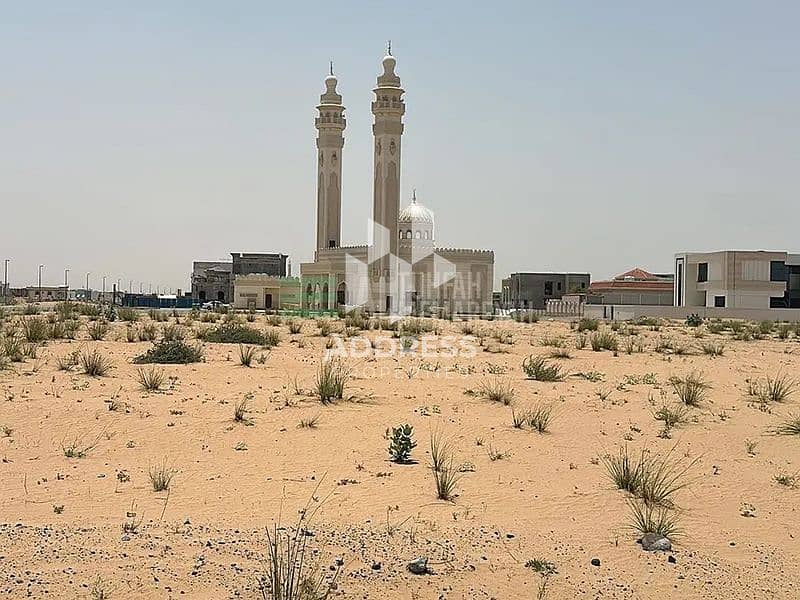 8 7. jpg