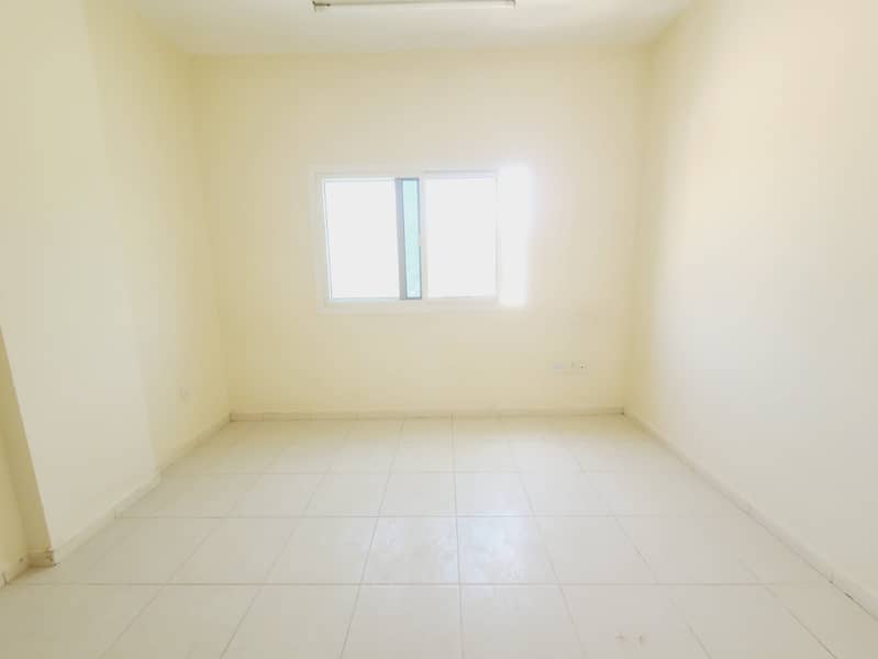 5 54729. jpg