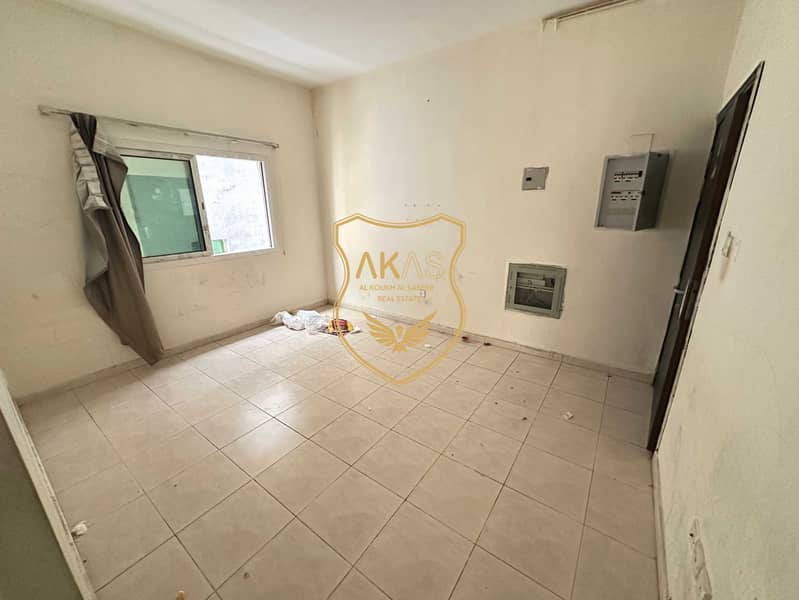4 IMG_4203. jpg