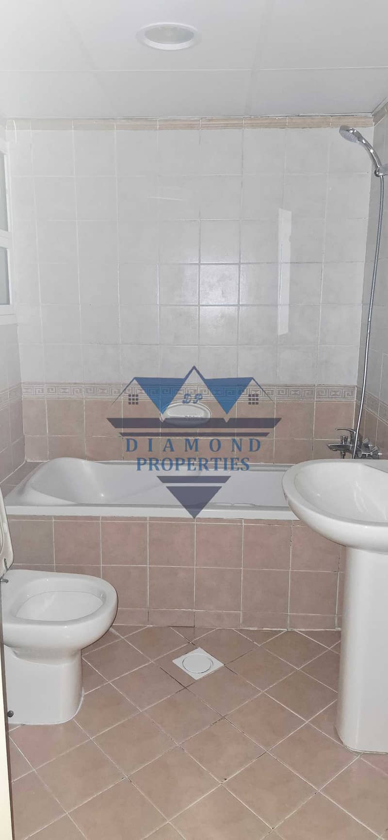 20 1000483860. jpg