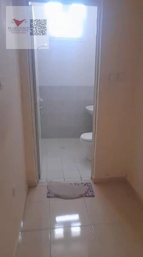7 IMG34600. jpg