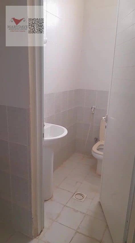 8 IMG118298. jpg