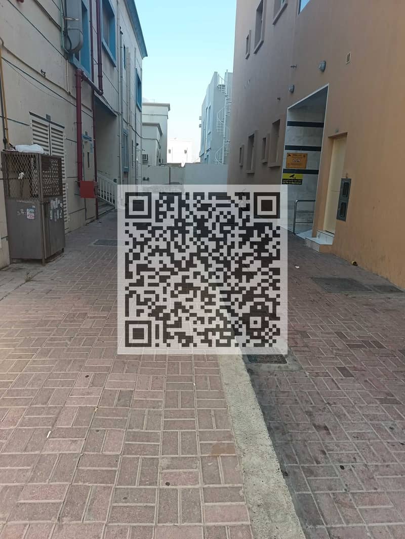 3 1000447952. jpg