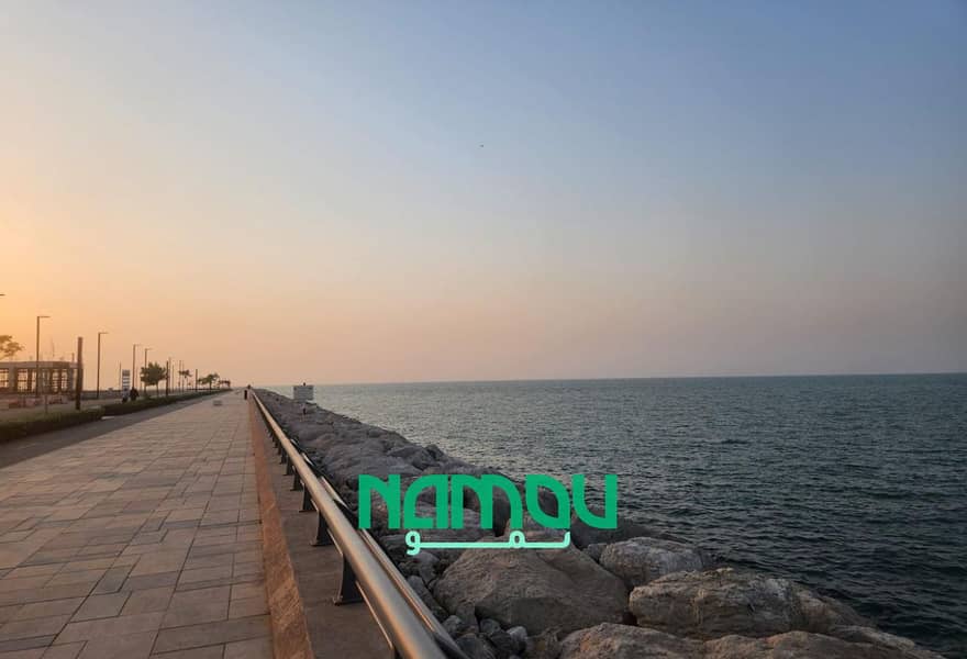4 Image 5