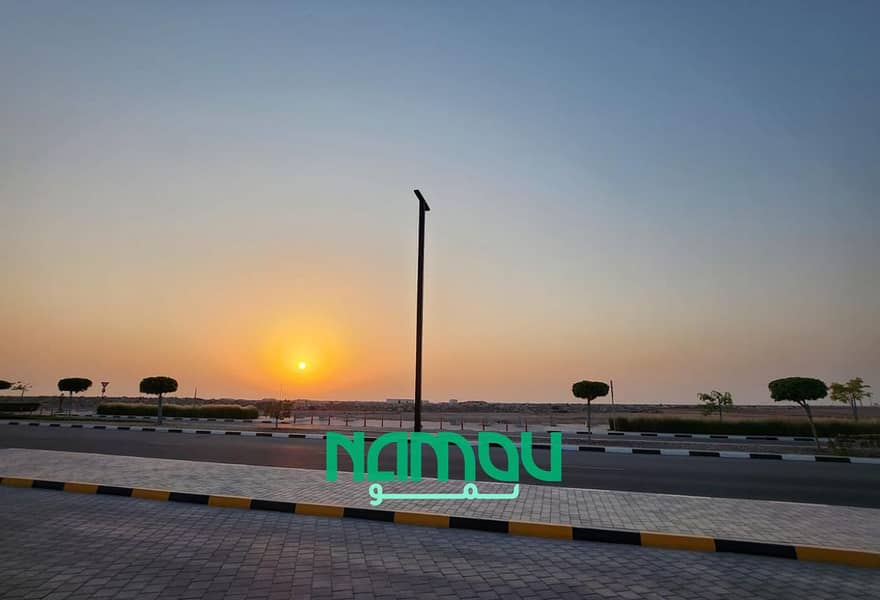 10 Image 12