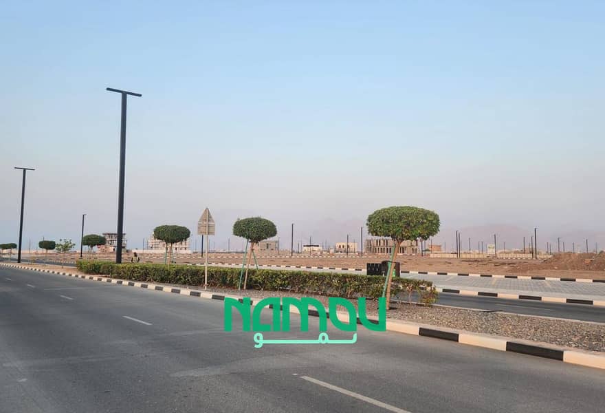 12 Image 14