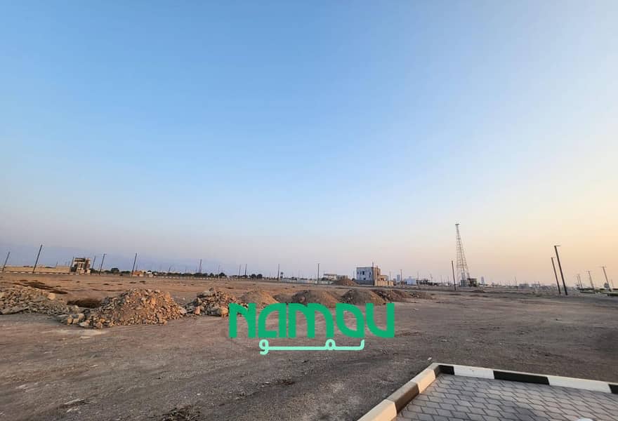 13 Image 15