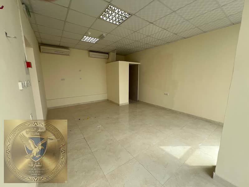 6 WhatsApp Image 2026-06-11 at 11.07. 06 AM (1). jpeg