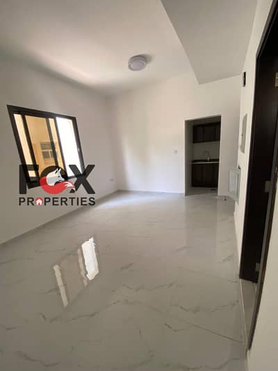 Studio for Rent in Al Rumaila, Ajman - WhatsApp Image 2026-06-29 at 2.31. 21 PM. jpeg Studio for Rent in Al Rumaila, Ajman - WhatsApp Image 2026-06-29 at 2.31. 21 PM. jpeg