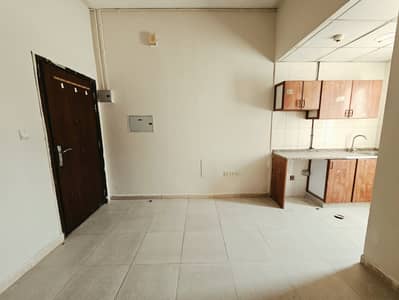 استوديو  للايجار في مويلح، الشارقة - 489679. jpg