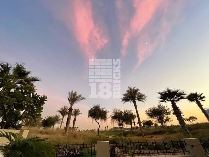 12 image_11