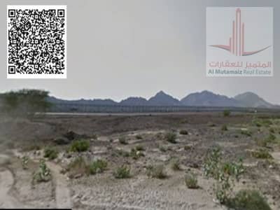 马斯福特, 阿治曼 住宅地块待售 - مصفوت 3. png 马斯福特, 阿治曼 住宅地块待售 - مصفوت 3. png
