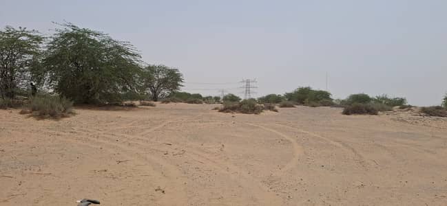 Industrial Land te Huur in Al Hamriyah, Sharjah - WhatsApp Image 2026-06-30 at 15.22. 57. jpeg Industrial Land te Huur in Al Hamriyah, Sharjah - WhatsApp Image 2026-06-30 at 15.22. 57. jpeg