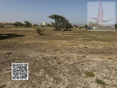 Plot for Sale in Al Manama, Ajman - WhatsApp Image 2026-07-01 at 11.26. 57 AM (3). jpeg Plot for Sale in Al Manama, Ajman - WhatsApp Image 2026-07-01 at 11.26. 57 AM (3). jpeg
