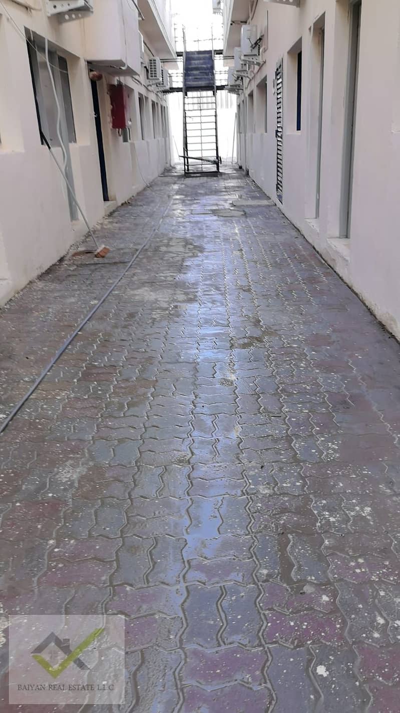 3 1000837264. jpg