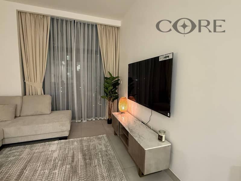 STUNNING FULLY FURNISHED 1BR APARTMENT - Image 3