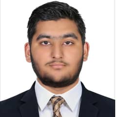 Muhammad Ameer Hamza