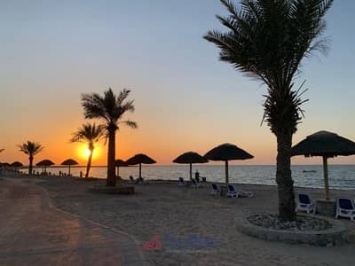 2 habitaciones Villa para en Alquiler en Al Dhait, Ras Al Khaimah - Villa en Al Dhait，Al Dhait South，The Cove Rotana Resort, 2 dormitorios, 150000 AED - 7403927
