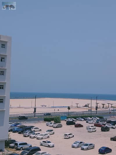 1 Bedroom Apartment for Rent in Al Nakhil, Ajman - WhatsApp Image 2026-07-02 at 12.29. 06 PM (1). jpeg 1 Bedroom Apartment for Rent in Al Nakhil, Ajman - WhatsApp Image 2026-07-02 at 12.29. 06 PM (1). jpeg