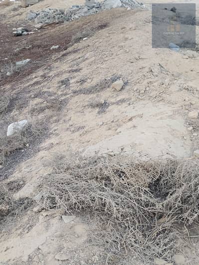 Plot zum zum Verkauf in Al Zahya, Ajman - 68. jpeg