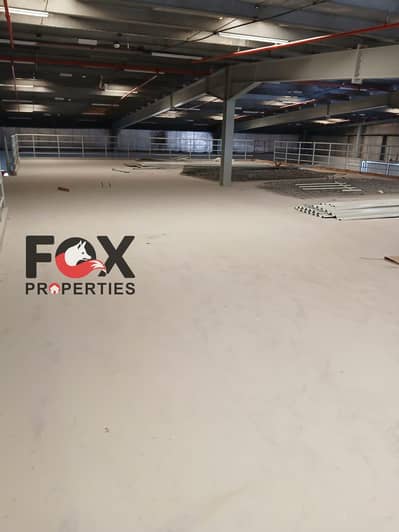 Warehouse zum zur Miete in Al Jurf, Ajman - WhatsApp Image 2026-07-02 at 6.46. 00 PM. jpeg Warehouse zum zur Miete in Al Jurf, Ajman - WhatsApp Image 2026-07-02 at 6.46. 00 PM. jpeg