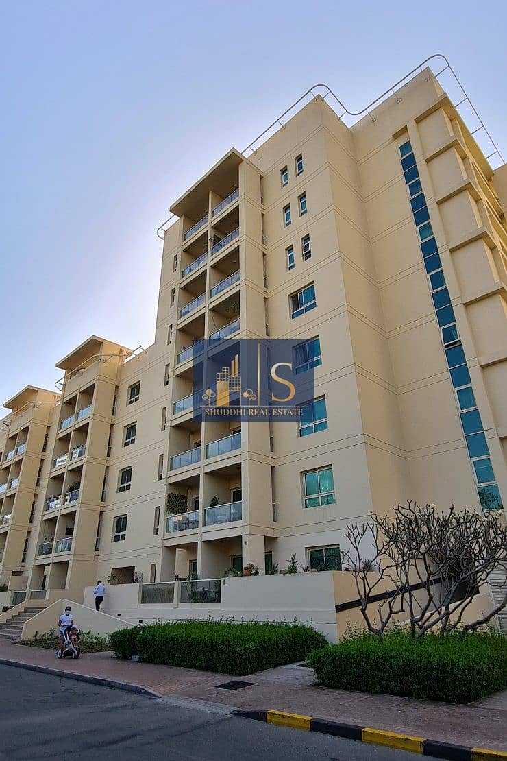 8 al-dhafrah-2-28081_xl. jpg