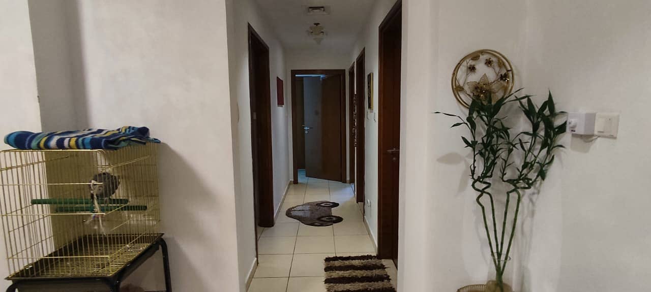 11 WhatsApp Image 2026-06-24 at 4.36. 18 PM (1). jpeg