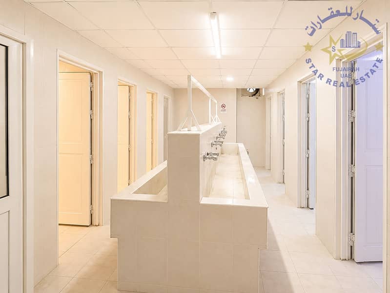 11 الحمام. png