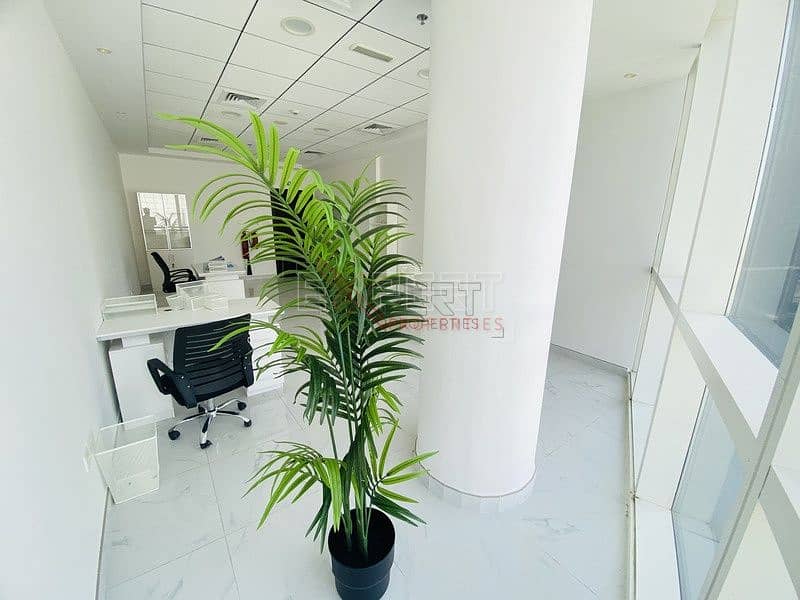 11 Image 11