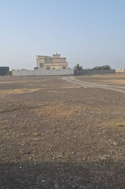 Plot zum zum Verkauf in Al Manama, Ajman - 334576. jpg Plot zum zum Verkauf in Al Manama, Ajman - 334576. jpg