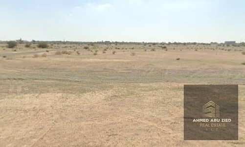 Plot te Koop in Al Manama, Ajman - WhatsApp Image 2026-07-04 at 2.03. 52 AM. jpeg