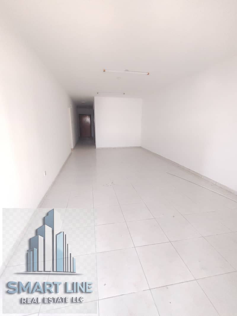 4 163377. jpg