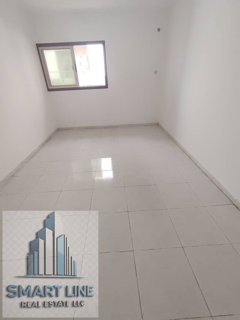 7 163382. jpg