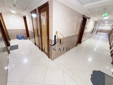3 Bedroom Apartment for Rent in Muwaileh Commercial, Sharjah - IMG_6126. jpg 3 Bedroom Apartment for Rent in Muwaileh Commercial, Sharjah - IMG_6126. jpg