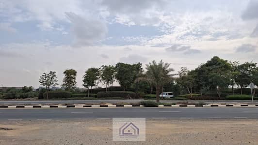 ارض سكنية للبيع في مدينة تلال، الشارقة - WhatsApp Image 2025-12-19 at 00.19. 10. jpeg ارض سكنية للبيع في مدينة تلال، الشارقة - WhatsApp Image 2025-12-19 at 00.19. 10. jpeg