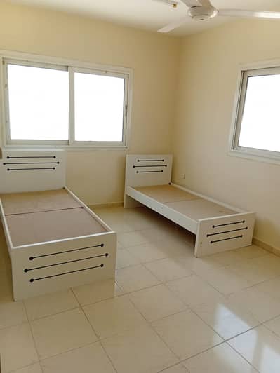 1 Slaapkamer Appartement te Huur in Bu Tina, Sharjah - 10304. jpg 1 Slaapkamer Appartement te Huur in Bu Tina, Sharjah - 10304. jpg